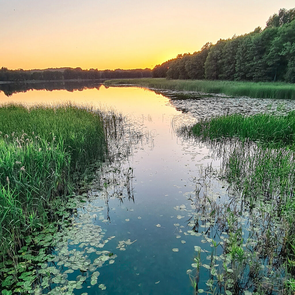 wigsun domek letniskowy nad jeziorem wigry 6